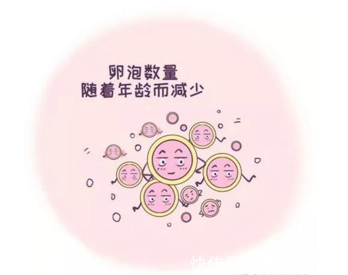 基因编辑