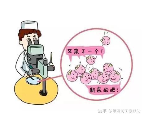 国内试管婴儿费用