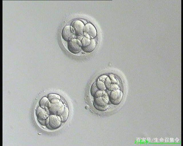 验孕