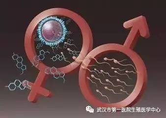 国内试管婴儿
