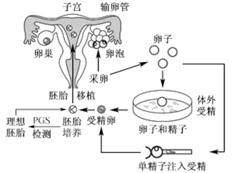 畸形