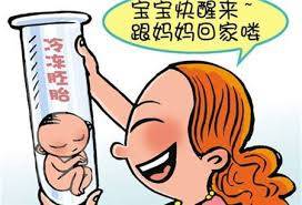 基础卵泡