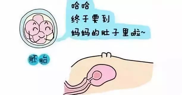 多囊卵巢综合征