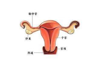 多囊卵巢综合征