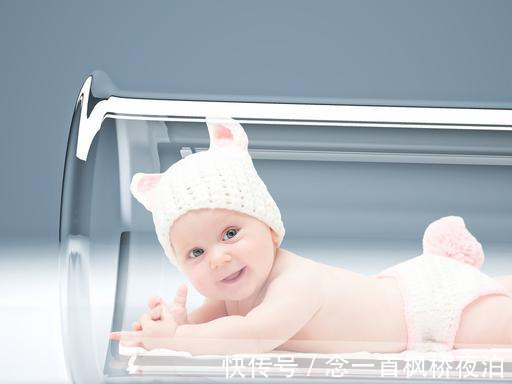 备孕期间吃什么好