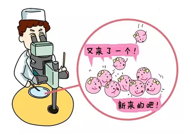 试管促排卵