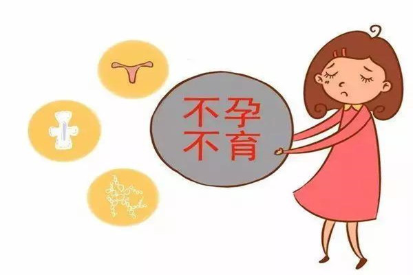 国际助孕