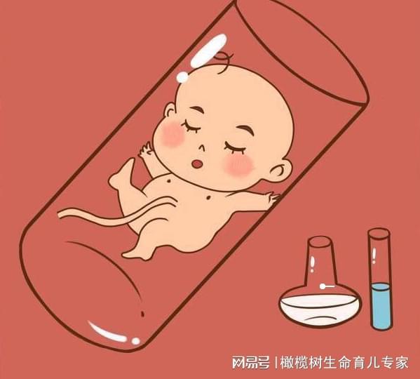 人工取卵