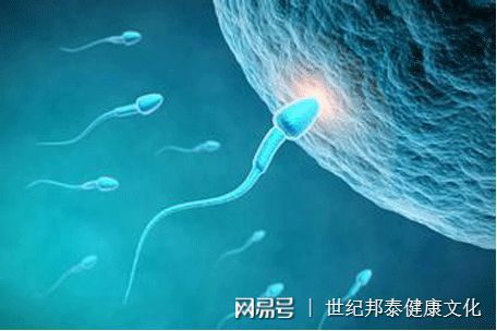 荆门捐卵代怀生子