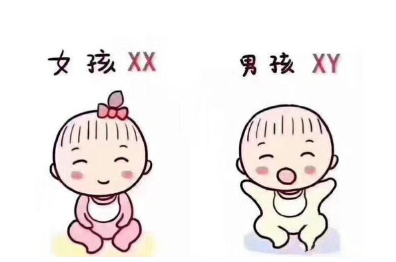 捐卵