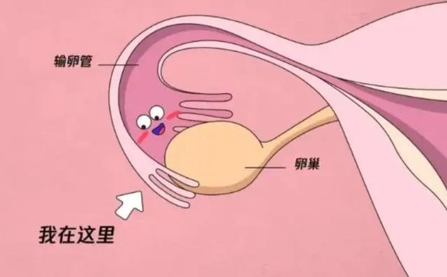 惜缘的人助孕中心