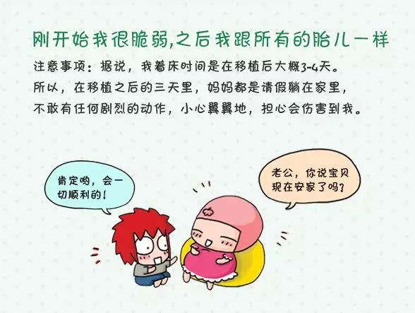 捐卵试管婴儿