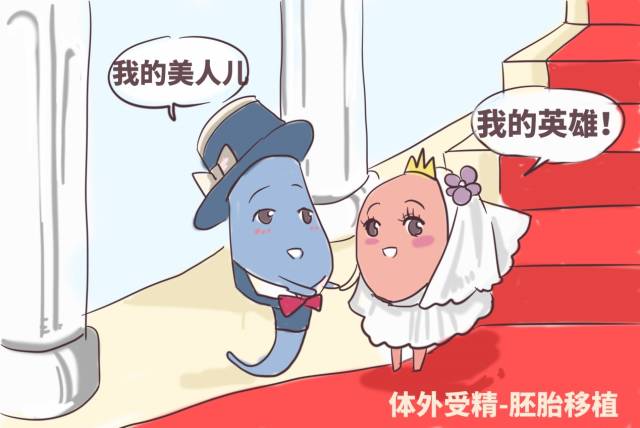 捐卵试管婴儿