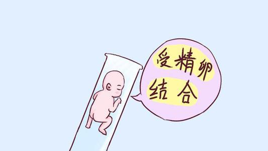 人工授精费用