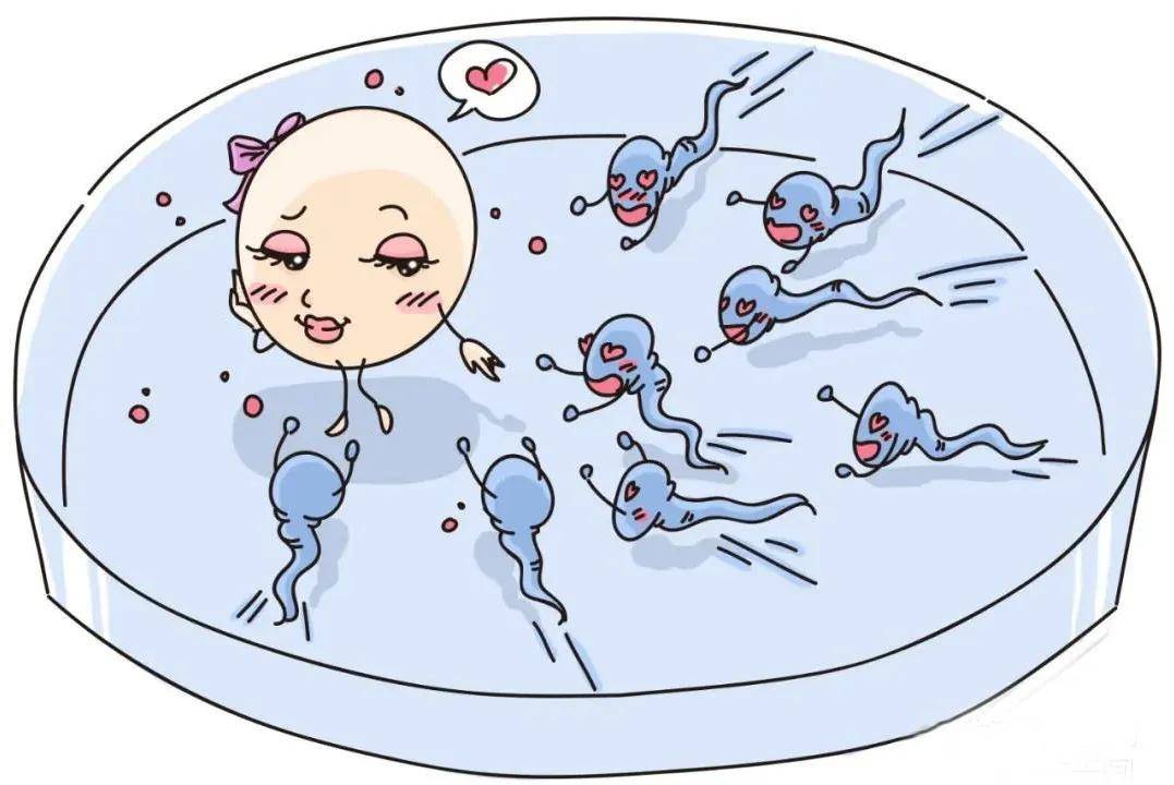 人工受孕费用